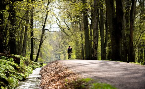 Kinnekulle är både en njutning och utmaning för landsvägscyklister med sitt kuperade landskap.