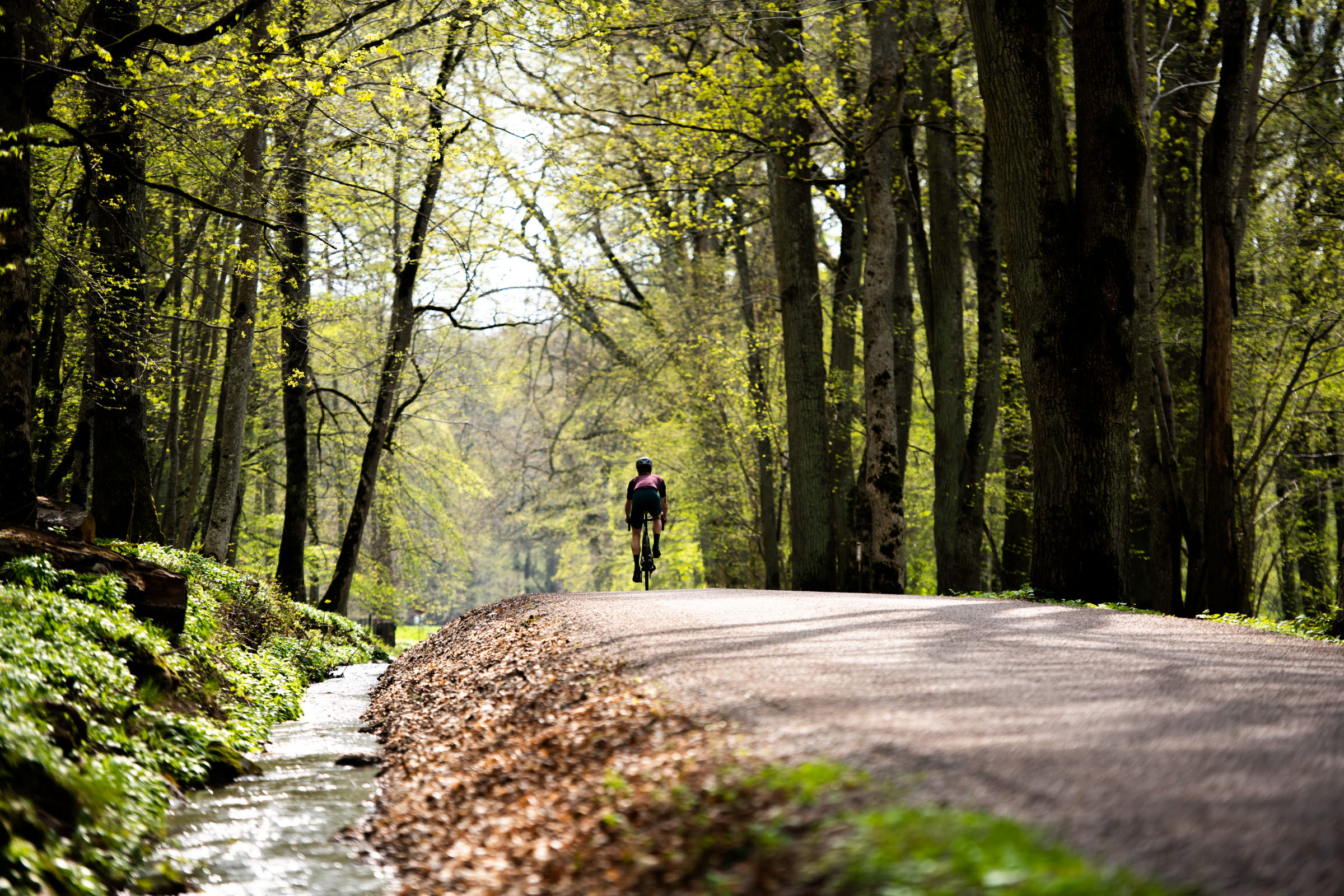 Kinnekulle är både en njutning och utmaning för landsvägscyklister med sitt kuperade landskap.