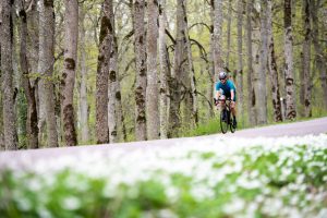 Backar upp och backar ned. Platåbergsturen ger bra träning i det varierande landskapet.