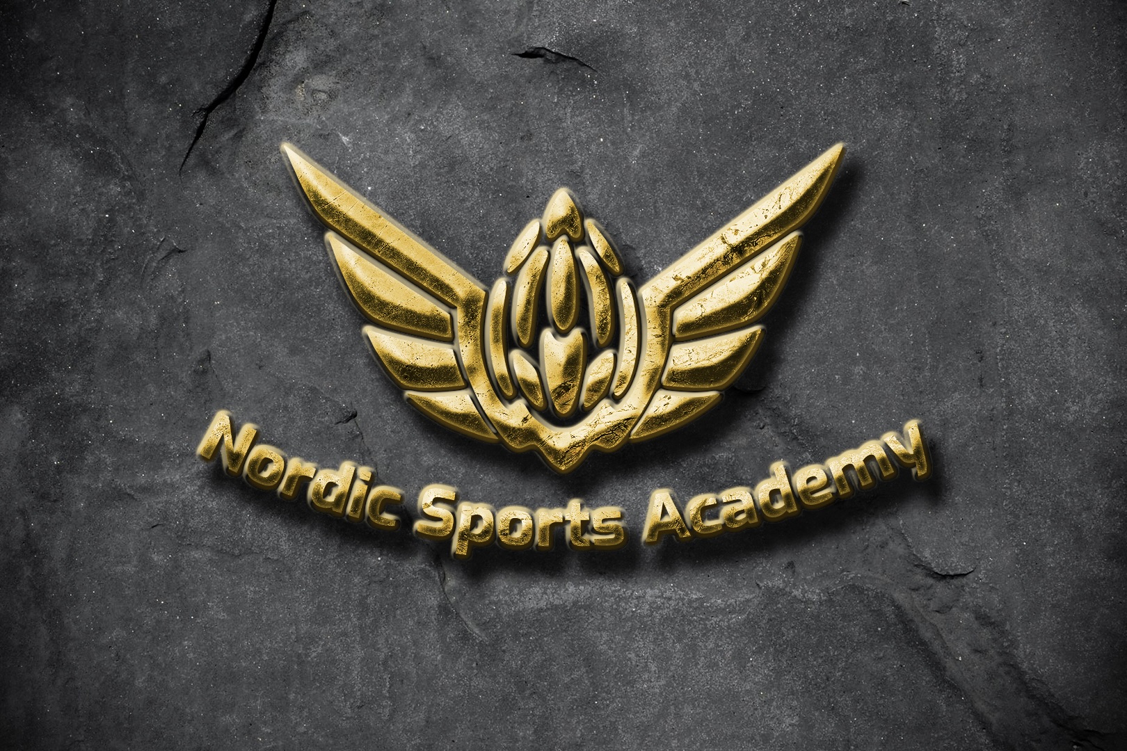 Nordic Sports Academy är en ideell förening som består av två sektioner, en för cykel och en för E-sport. Föreningen har arbetat aktivt med Fontänhuset i Båstad som riktar sig till människor som har upplevt psykisk ohälsa.