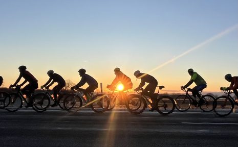 Personer som cyklar i solsken.