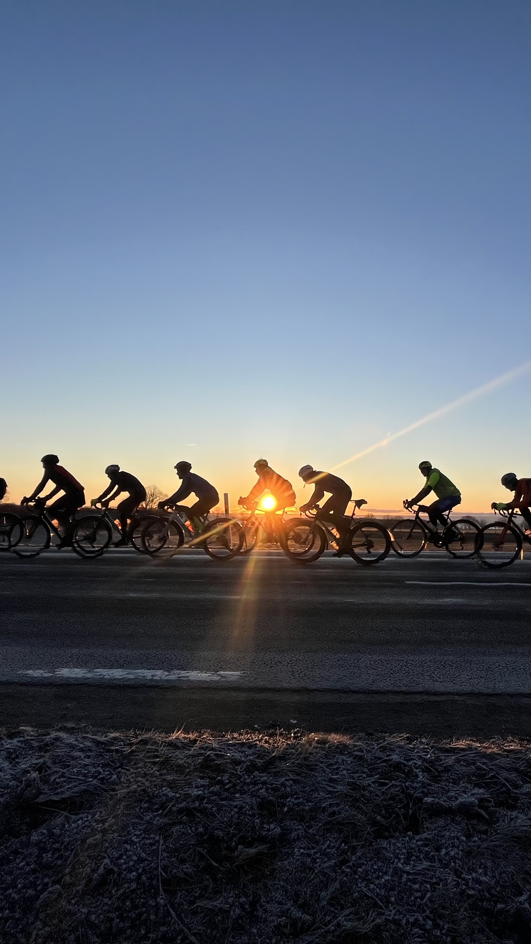 Personer som cyklar i solsken.